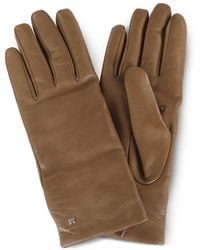 Max Mara - Spalato Gloves - Lyst