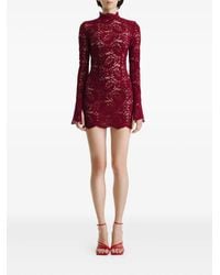 2310 STUDIO - Minikleid aus Spitze mit Stehkragen - Lyst