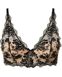 Twinset - Embroidered-Tulle Bralette - Lyst