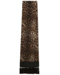 Dolce & Gabbana - Sciarpa Leopardata Con Frange - Lyst