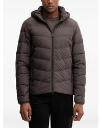 Jack Wolfskin - Colonius Hooded Quilted Padded Jacket - Lyst