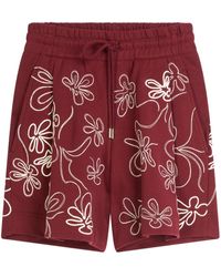 Dries Van Noten - Floral-embroidered Cotton Shorts - Lyst