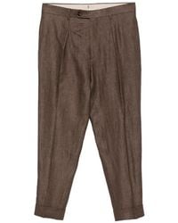Berwich - Chiaia Pleated Tailored Trousers - Lyst