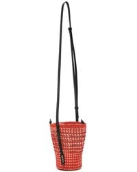 Loewe - Paula's Ibiza Braid Rafia Bucket Bag - Lyst