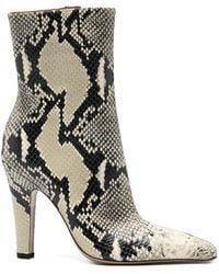 Paris Texas - Belle Snakeskin Pointed Ankle Boots - Lyst