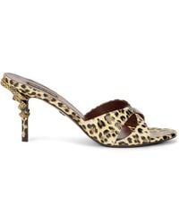 Roberto Cavalli - Leopard-Print Sandals - Lyst