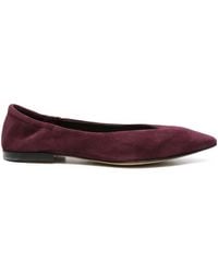 Pomme D ́Or - Pointed-Toe Suede Ballet Flats - Lyst