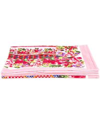 Dolce & Gabbana Mambo Print Towel - Pink