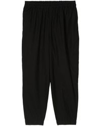 Toogood - The Acrobat Cotton Tapered Trousers - Lyst