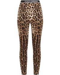 dolce and gabbana tights set