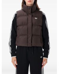 adidas - Gesteppte Weste - Lyst