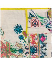 Etro Schal mit Pegasus-Print - Mehrfarbig