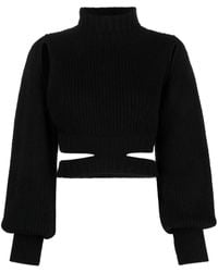 ANDREADAMO - Cropped-Pullover Mit Rollkragen - Lyst