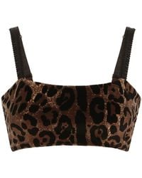 Dolce & Gabbana - Leopard-Print Sleeveless Crop Top - Lyst