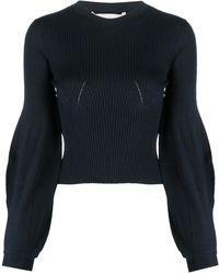 Stella McCartney - Ribbed-Knit Crewneck Jumper - Lyst