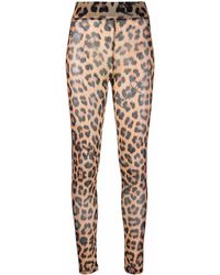 Philipp Plein - Leopard-print Semi-sheer leggings - Lyst