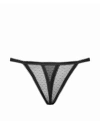 Maison Close - Inspiration Divine Lace Thongs - Lyst
