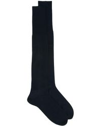 Fashion Clinic Knitted Knee-high Socks - Blue