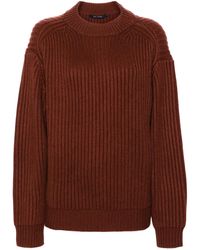 Sofie D'Hoore - Ribbed Sweater - Lyst
