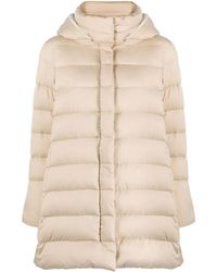 Herno - Daunenjacke Mit Kapuze - Lyst