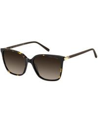 Tommy Hilfiger - Tortoiseshell-Effect Cat-Eye Sunglasses - Lyst