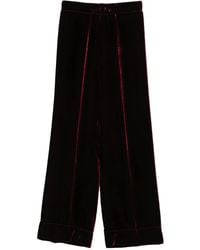 Whyci - Fluwelen Broek - Lyst