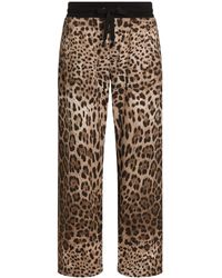 Dolce & Gabbana - Leopard-print Track Pants - Lyst