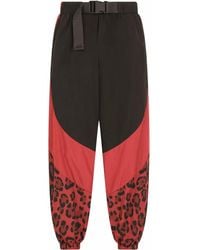 Dolce & Gabbana - Pantalones con estampado de leopardo - Lyst