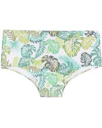Amir Slama - Leaf Print Swim Briefs - Lyst