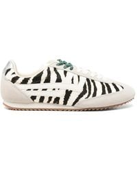 Pro Keds - Baskets 1949 À Imprimé Zèbre - Lyst
