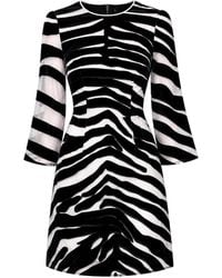 Dolce & Gabbana - Zebra-Print A-Line Mini Dress - Lyst