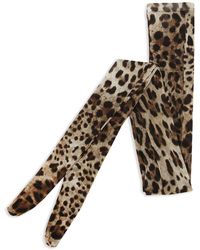 Dolce & Gabbana - Leopard-print Tulle Tights - Lyst