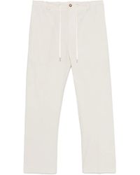 Tintoria Mattei 954 - Cotton Trousers - Lyst