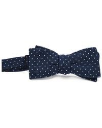 Corneliani - Polka-Dot Silk Bow Ties - Lyst