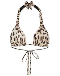Dolce & Gabbana - Leopard-Print Padded Triangle Bikini Top - Lyst