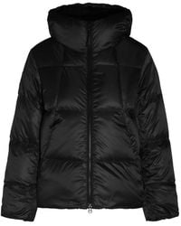 Goldwin - Plumífero Con Capucha - Lyst