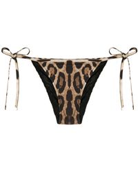 Dolce & Gabbana - Leopard-Print Bikini Bottoms - Lyst