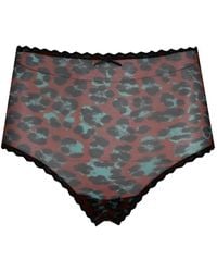 Laura Urbinati - Culotte À Imprimé Léopard Et Finitions En Dentelle - Lyst