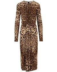 Dolce & Gabbana - Leo-Print Viscose Jersey Dress - Lyst