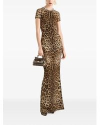 Dolce & Gabbana - Leo-Print Charmeuse Dress - Lyst