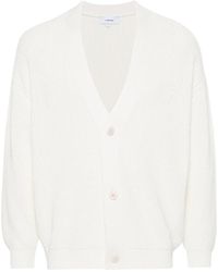 Lardini - Katoenen Vest Met V-Hals - Lyst