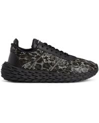 Giuseppe Zanotti - Urchin Leopard-print Leather Sneakers - Lyst