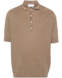 Lardini - Ribbed-knit Polo Shirt - Lyst