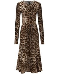 Dolce & Gabbana - Printed Cady Dress - Lyst