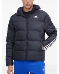adidas - Three-Stripe Padded Jacket - Lyst