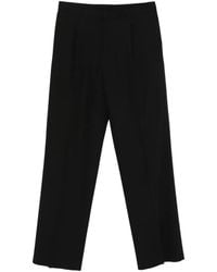 Lardini - Plooibroek - Lyst
