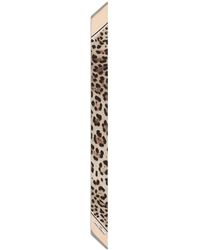 Dolce & Gabbana - KIM DOLCE&GABBANA Schal mit Leoparden-Print - Lyst