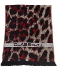 Roberto Cavalli - Leopard-Print Logo-Band Scarf - Lyst