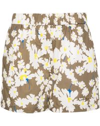 MSGM - Floral Print Shorts - Lyst