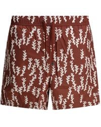 ZEGNA - Swimwear With Printed Fantasy - Lyst